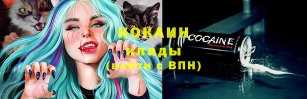 индика Нязепетровск