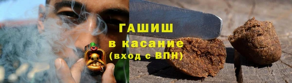 индика Нязепетровск