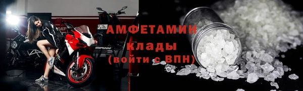 индика Нязепетровск