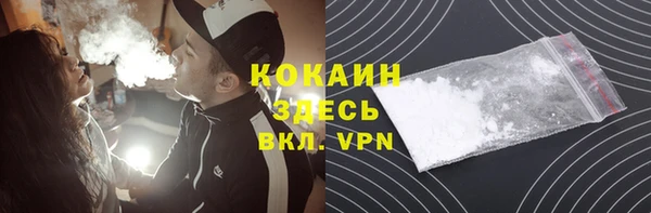 индика Нязепетровск