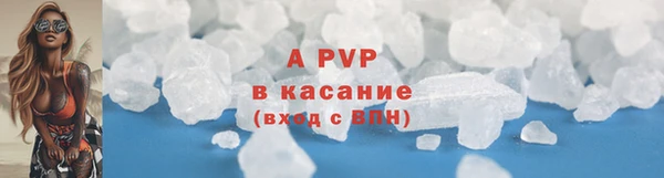 индика Нязепетровск