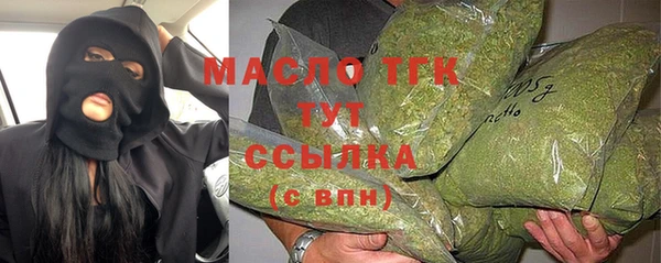 индика Нязепетровск
