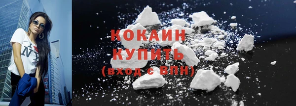индика Нязепетровск