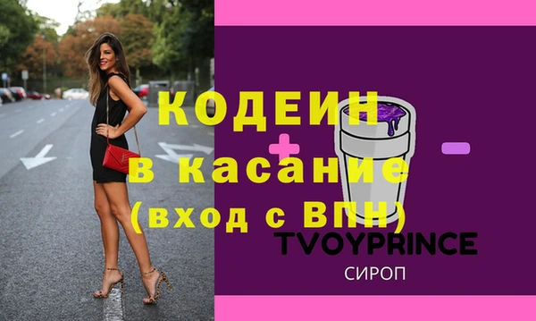 индика Нязепетровск
